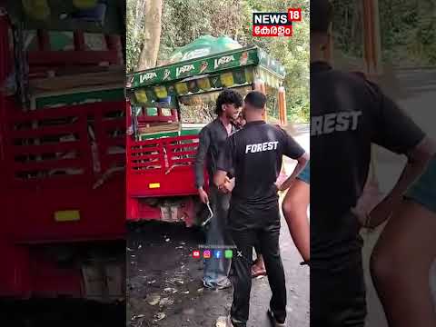 നാടുകാണി ചുരത്തിൽ ഐസക്രീം വിൽപ്പന തടഞ്ഞു; വനപാലകർക്ക് നേരെ ജാക്കി ലിവറുമായി യുവാവിന്റെ ഭീഷണി thumbnail