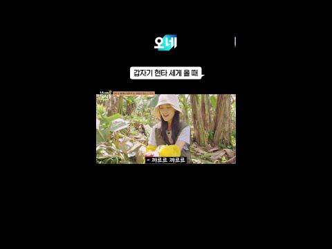 현타 올 때 쓰는 짤 #언니네산지직송in칼라페 thumbnail