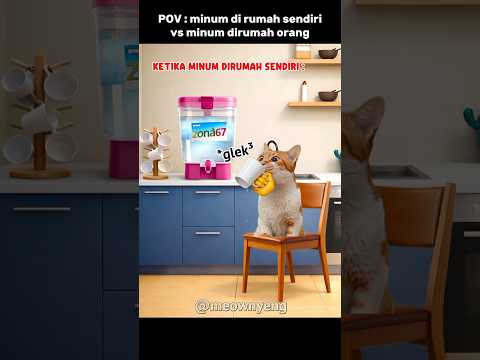 ada yang pernah ngalamin begini juga gak ? 😭😭😭 #cat #komedi #bercanda #memes #lucu thumbnail