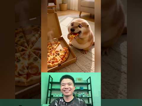 What The Dog Doing P159: PiPi LaBu Hay Dỗi Ăn Pizza. thumbnail