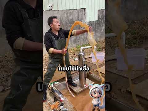 กล้วยกับบ่อ ทำทำไม thumbnail