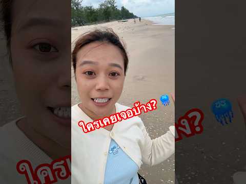 ก้อนใสๆริมชายหาด 🏝️🪼#ลองดู #แมงกระพรุน #ฝากติดตาม #หมูหมีจัดให้ #เอ็นจอยคับผม #sea thumbnail