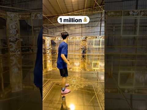 $0 to $1,000,000 TRAINING GROUND💰- Which Wins?🔥 thumbnail