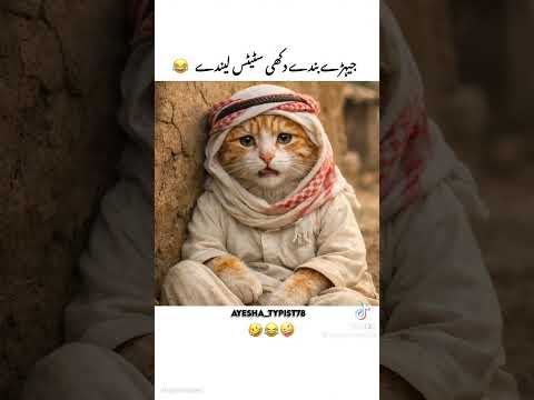 very funny and very nice video ??? please like Karen or chanel ko subscribe Karen thumbnail