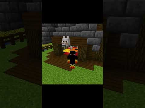 NÃO É MEU CACHORRO thumbnail
