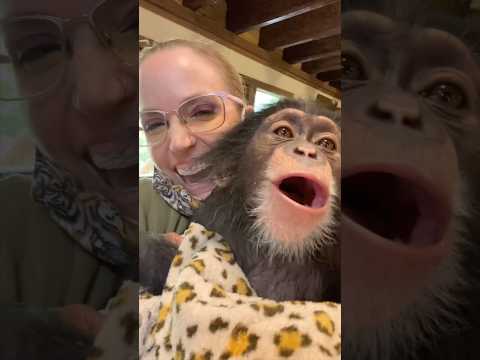 The sweetest bahoo ❤️📢 thumbnail