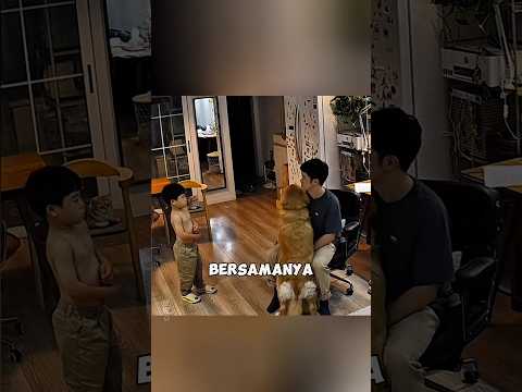 Momen Haru Ayah, Anak, dan Seekor Anjing ❤️ #shorts thumbnail