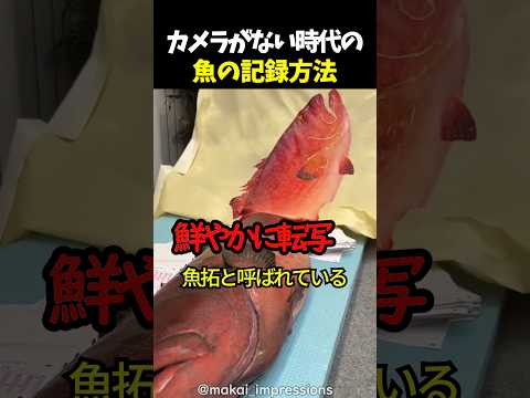 カメラがない時代の魚の記録方法 thumbnail
