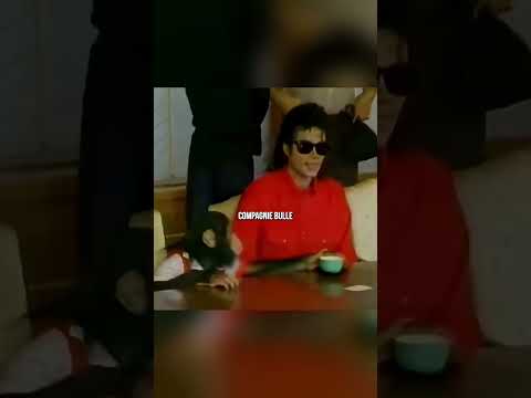 👀 Quand Michael Jackson révèle sa vraie personnalité… thumbnail