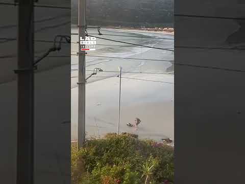 Seal Chases Woman Off Beach 😅 thumbnail