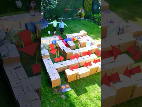 LABERINTO de CAJAS 📦 con nuestros perritos 🐕🐩 thumbnail