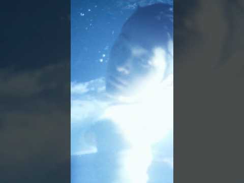 CORTIS (코르티스) 'Blue Lips' Mood Sampler thumbnail