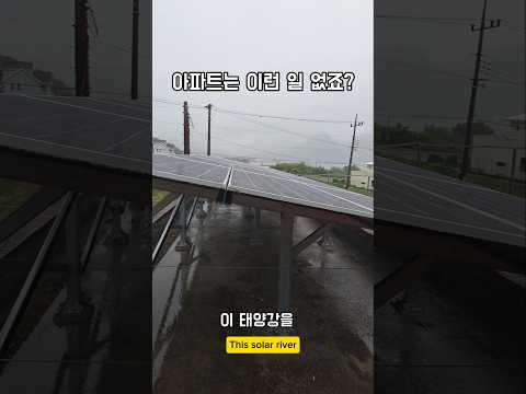 단독주택에 애들과 같이 살면 .. #남해 #태양광 #단독주택 #배관청소 #청소 #양말 thumbnail