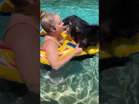 Silliness feeds joy; joy keeps us human when the world gets too serious. thumbnail