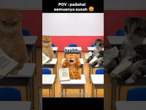 ngerjain soal 😳 #cat #memes #komedi #sekolah #trending thumbnail