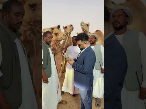 #zamelectproperties #abdulghafoor #muhammadshakoor #zamzamperfumes #zamzamelectronics #zamzmbrothers thumbnail