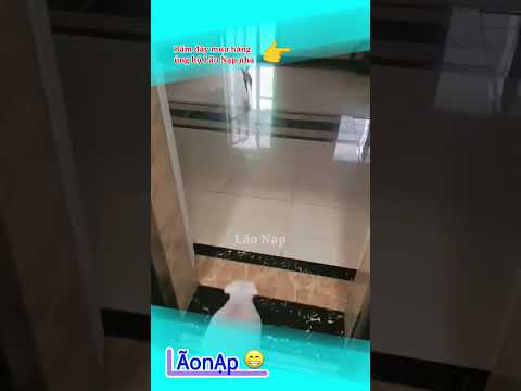 Một sự thay đổi nhẹ 😅 #laonap thumbnail
