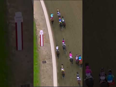 Overhead view of the 151st Preakness Stakes ?? thumbnail