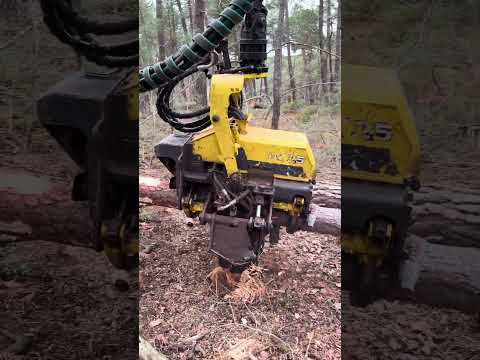 1270G Harvester:Pure Power #harvester #forest #johndeere #logging #heavymachinery #lumberjack #tree thumbnail