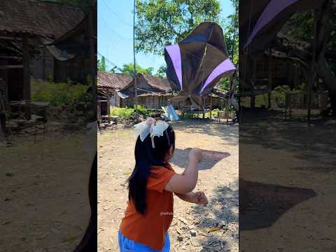 BOCIL TERBANGKAN LAYANGAN BESAR #layangan #bocil  #kite #funny #lucu thumbnail