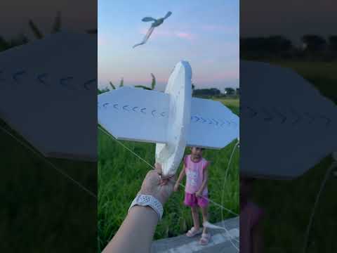 Diều xốp này làm sai rồi #thadieu #dieusao #thadieusao  #shorts #caulongbocondua thumbnail