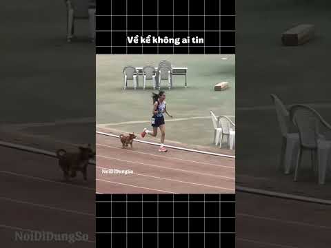 Có thể xác lập kỷ lục thế giới #shortvideo #memes #shorts #short thumbnail