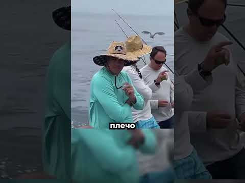 Если на вас села сова — не паникуйте 🦉 thumbnail