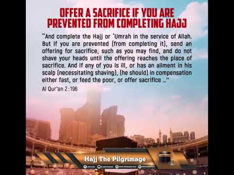 Offer a Sacrifice if you are prevented from Completing Hajj thumbnail