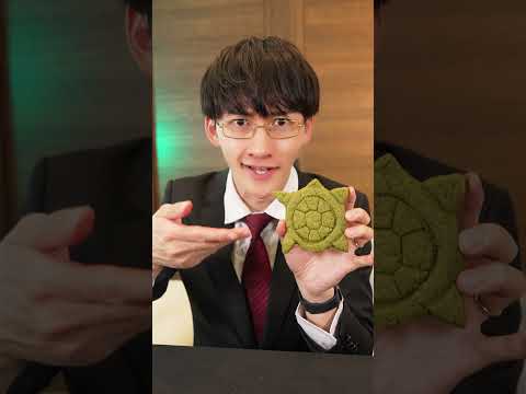 Teaching KOTO how to eat a turtle? thumbnail