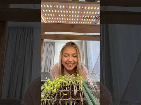 Жиза.. thumbnail