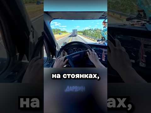 Рожден играть, вынужден работать thumbnail
