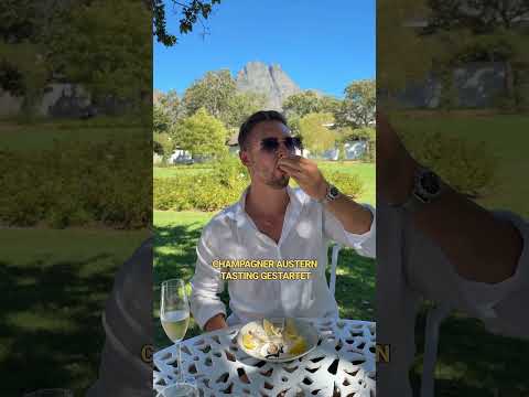 Markiert jmd, mit dem ihr das machen wollt🍷 #winetram #franschhoek #stellenbosch #kapstadt #capetown thumbnail
