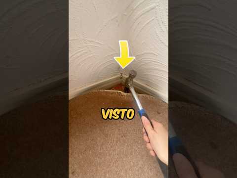 HA SOLLEVATO IL TAPPETO DI CASA DOPO 20 ANNI ED HA TROVATO QUESTO… ? #virale #divertente thumbnail