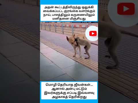 கண்ணு பட்டுற போகுதய்யா??? #shorts thumbnail