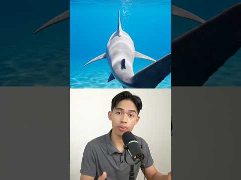 Hewan ini bisa hidup di 2 tempat! thumbnail