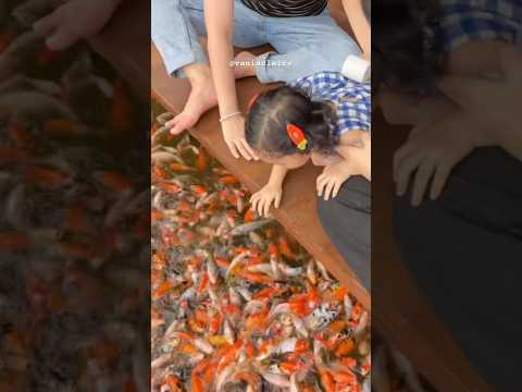 PERTAMA KALI KASIH MAKAN IKAN?? 🐟 #piuwfamily #funny #familychannel #familyvideo #familyvlog #fish thumbnail