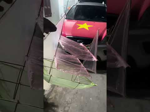 Lại nghịch diều gì đây nữa #shorts #caulongbocondua thumbnail