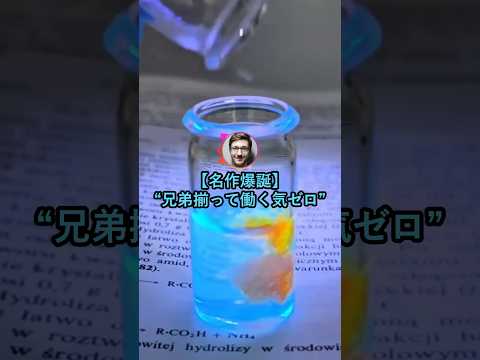 【名作爆誕】兄弟揃って働く気ゼロ【2ch面白いスレ】 thumbnail