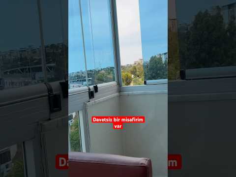 Umarım tutabiliriz her an uçacak gibi 🥺 thumbnail