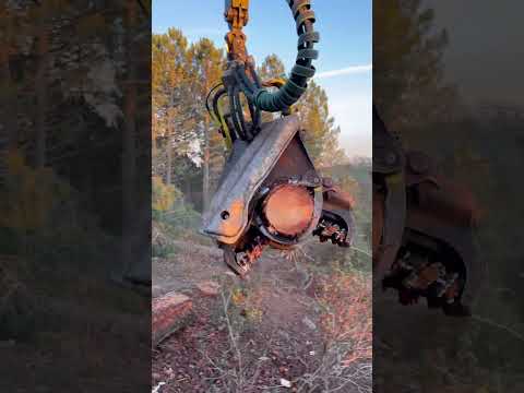 🌲Harvester 1270G: Tech Power in Action #harvester #forest #johndeere #wood #farming #lumberjack thumbnail