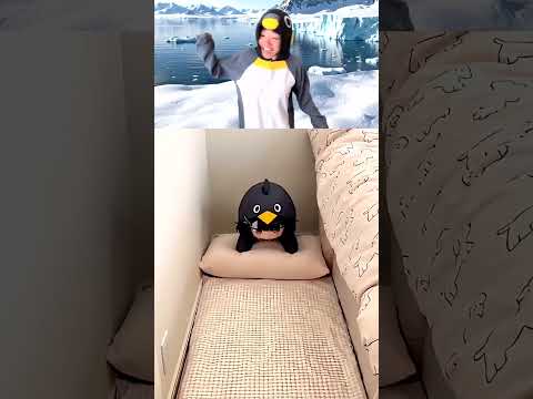 Real Life Gugugaga Reacts Gugugaga building a comfortable place... #emotionalstory #humor #reaction thumbnail