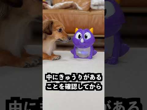 お腹の中の物の色に鼻が光るドラゴンの中を空にすれば透明に光るはず！ thumbnail