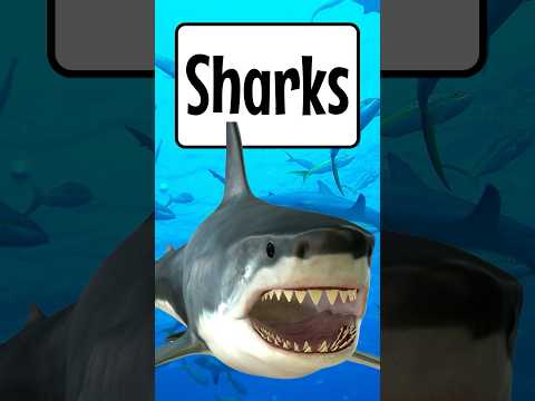 Shark Facts for Kids ? | Amazing Sharks in 60 Seconds! | Educational Video Shorts thumbnail