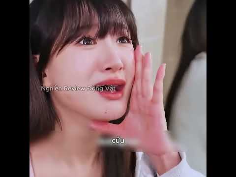 Trong lúc tìm con mèo của mình, tôi bất ngờ phát hiện ra có người đang trốn dưới gầm giường. thumbnail