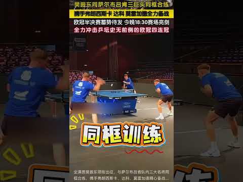 全满贯樊振东领衔出征，与萨尔布吕肯队内三大名将同框合练，携手弗朗西斯卡、达科、莫雷加德精心备战欧冠半决赛，全员状态拉满，今晚18:30赛场亮剑，全力冲击乒坛前所未有的欧冠四连冠荣耀！#樊振东与队友合体 thumbnail