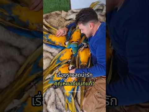 จากโพรงป่าสู่อ้อมกอดคุณหมอ thumbnail