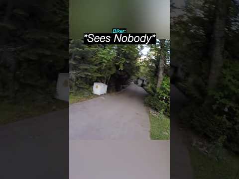Biker Helps LOST DOG Find Home ? ? thumbnail