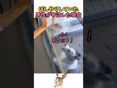 食事中に愛犬を見つけた男性 thumbnail