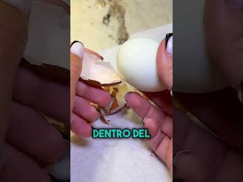 El engaño más inesperado con un Kinder 😂 #shorts thumbnail