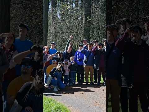 Bird Watching for Earth Month | Life at LAIKA thumbnail